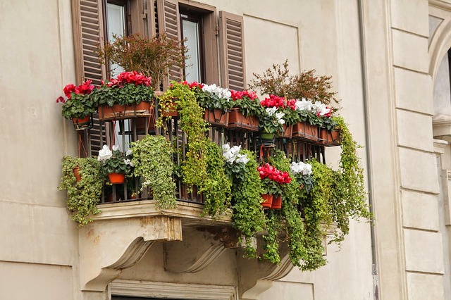 květiny na balkoně.jpg
